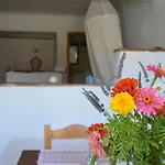 Appartamento Parodosiako Diamerisma Rochari *