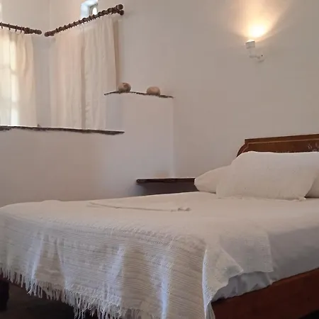 Parodosiako Diamerisma Rochari